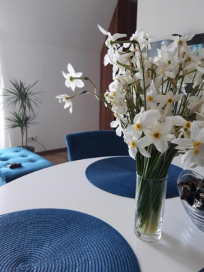 Apartman Borovi 18